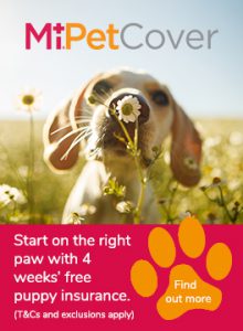 MiPet Cover puppy advert